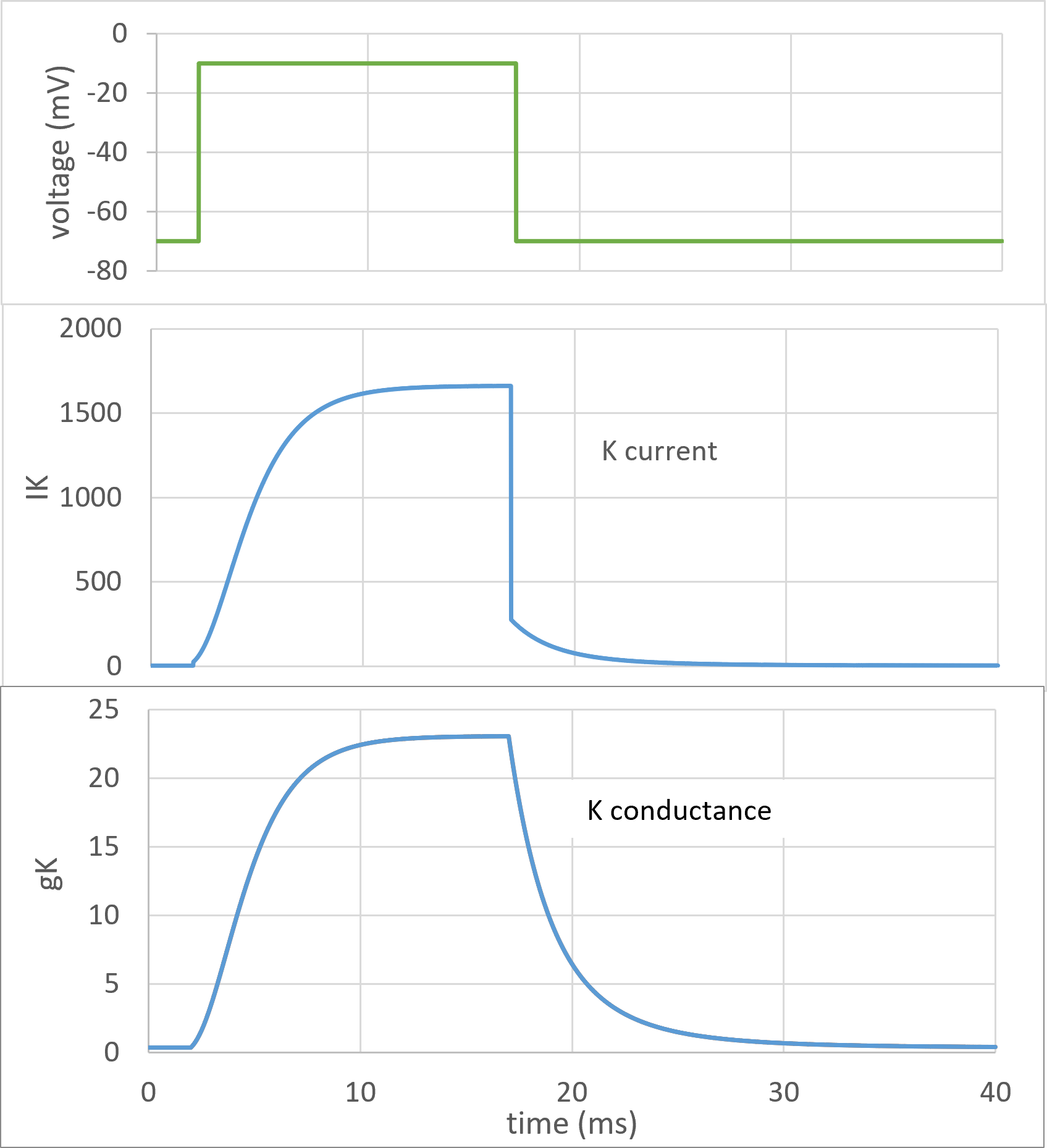 time course of m and n values voltage step